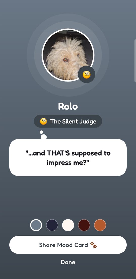 A mood card reading The Silent Judge